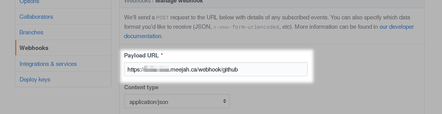 GitHub WebHook endpoint settings